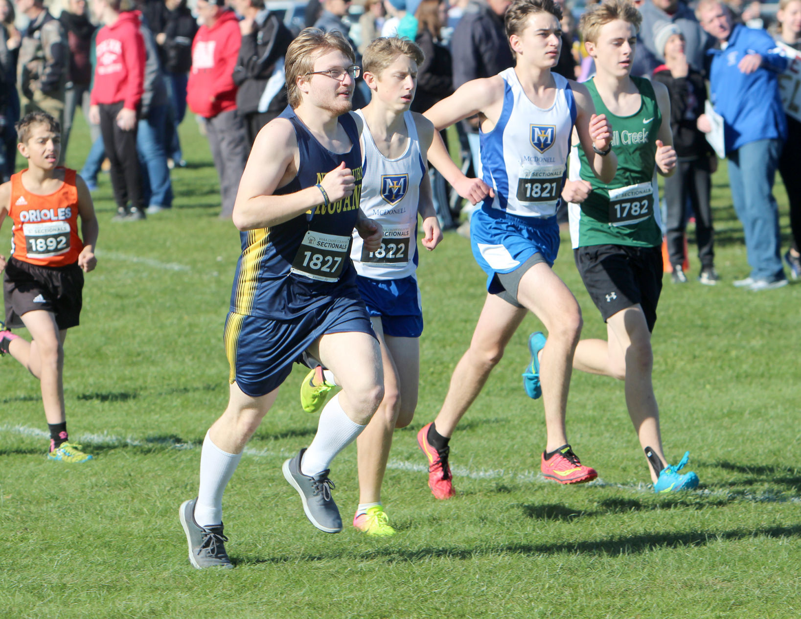 Division 3 Cross Country Sectionals in Boyceville 10-26-19